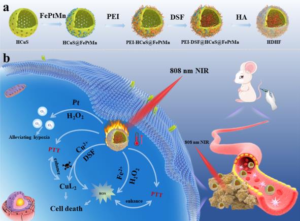 Dual Gate-Controlled Nanoreactor for Cancer Therapy