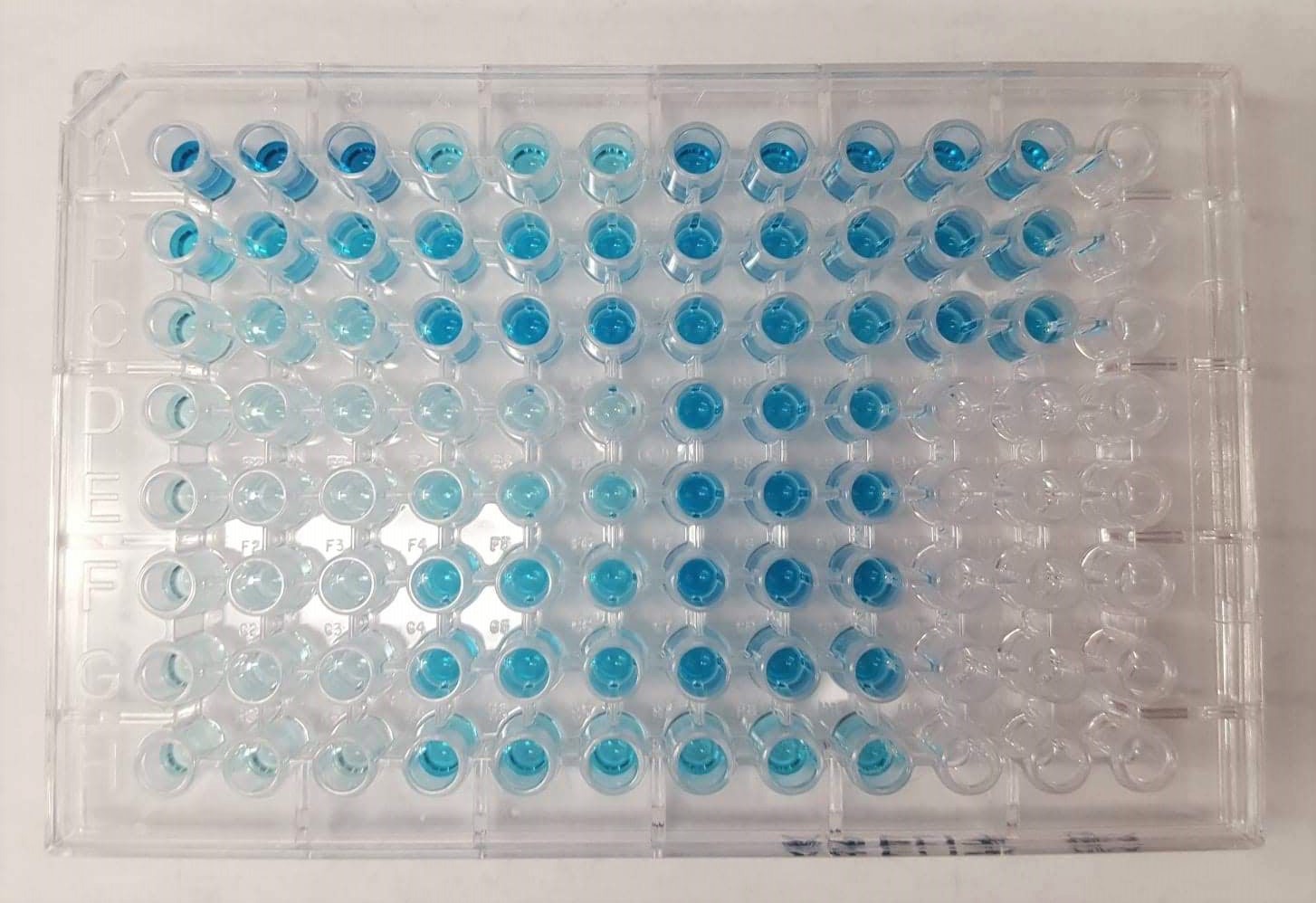 Fig.2 ELISA. (From Wikipedia: https://commons.wikimedia.org/wiki/File:ELISA_TMB.jpg.)