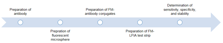 Fig.2 FM-ICT5 development procedure. (Creative Biolabs Original)