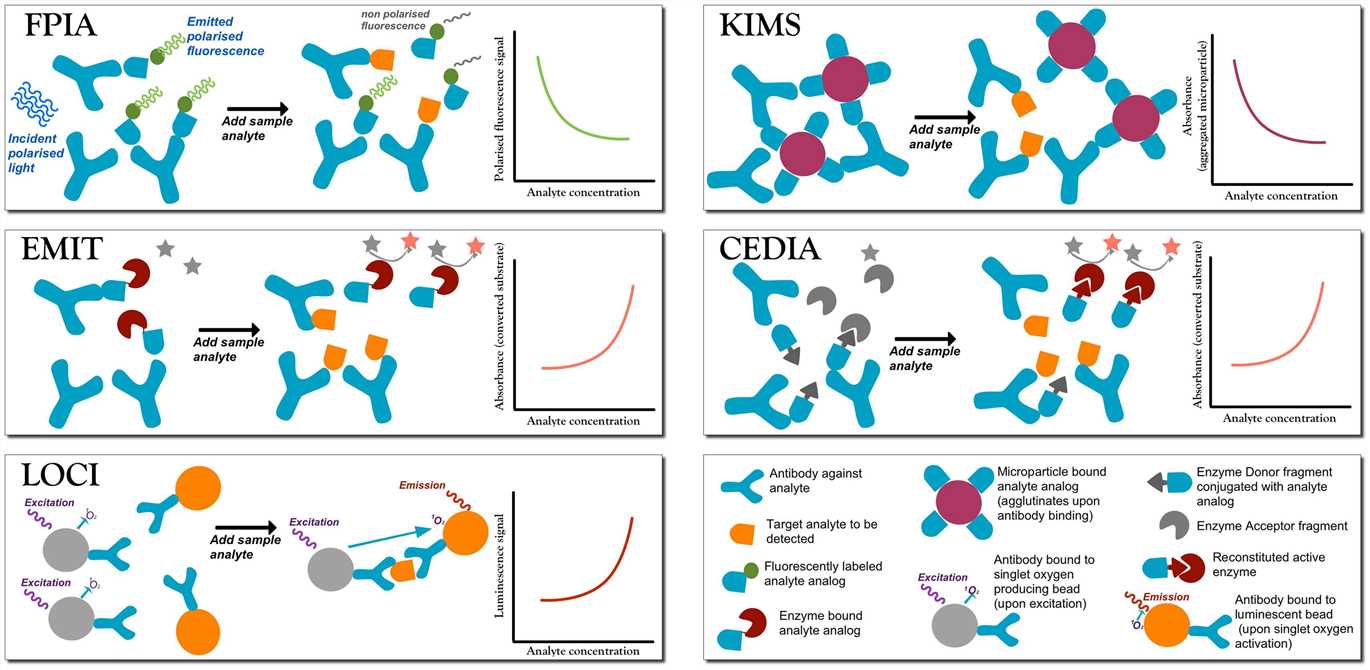 Fig.4 Homogenous enzyme immunoassay. (From Wikipedia: By Sanavio B, Krol S. Minor corrections by Mikael Häggström, https://commons.wikimedia.org/wiki/File:Homogeneous_competitive_assays_(FPIA,_EMIT,_LOCI,_KIMS_and_CEDIA).png.)