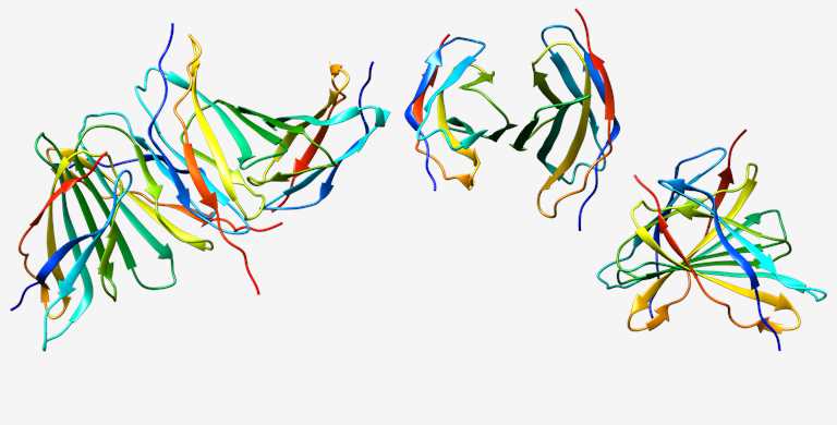 The main findings on irisin in metabolic diseases as derived from human studies. BMD bone mineral density, CVD cardiovascular disease, IR insulin resistance, NAFLD nonalcoholic fatty liver disease, PCOS polycystic ovary syndrome, T1DM type 1 diabetes mellitus, T2DM type 2 diabetes mellitus. (Polyzos, S. A., 2017)