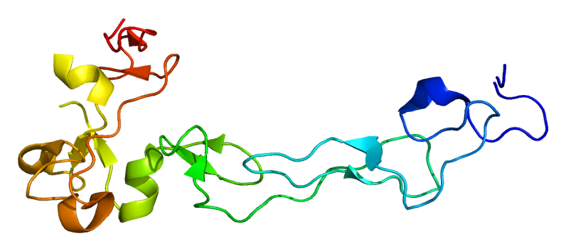 Fig.1 The ADAM10 protein structure. (https://commons.wikimedia.org/wiki/File:Protein_ADAM10_PDB_2ao7.png)