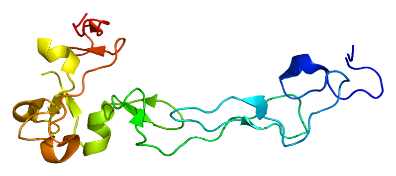 Structure of the ADAM10 protein. Based on PyMOL rendering of PDB 2ao7.