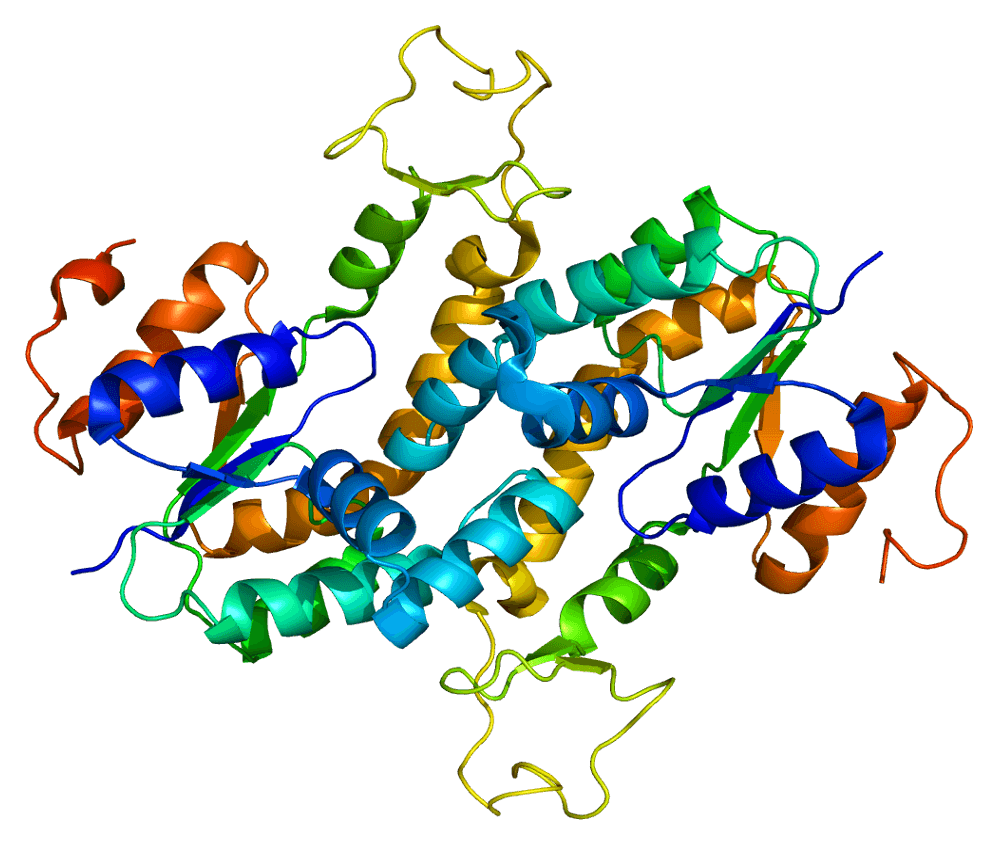 Predicting 3D structure of the AK3L1 protein. Based on PyMOL rendering of PDB 2ar7.
