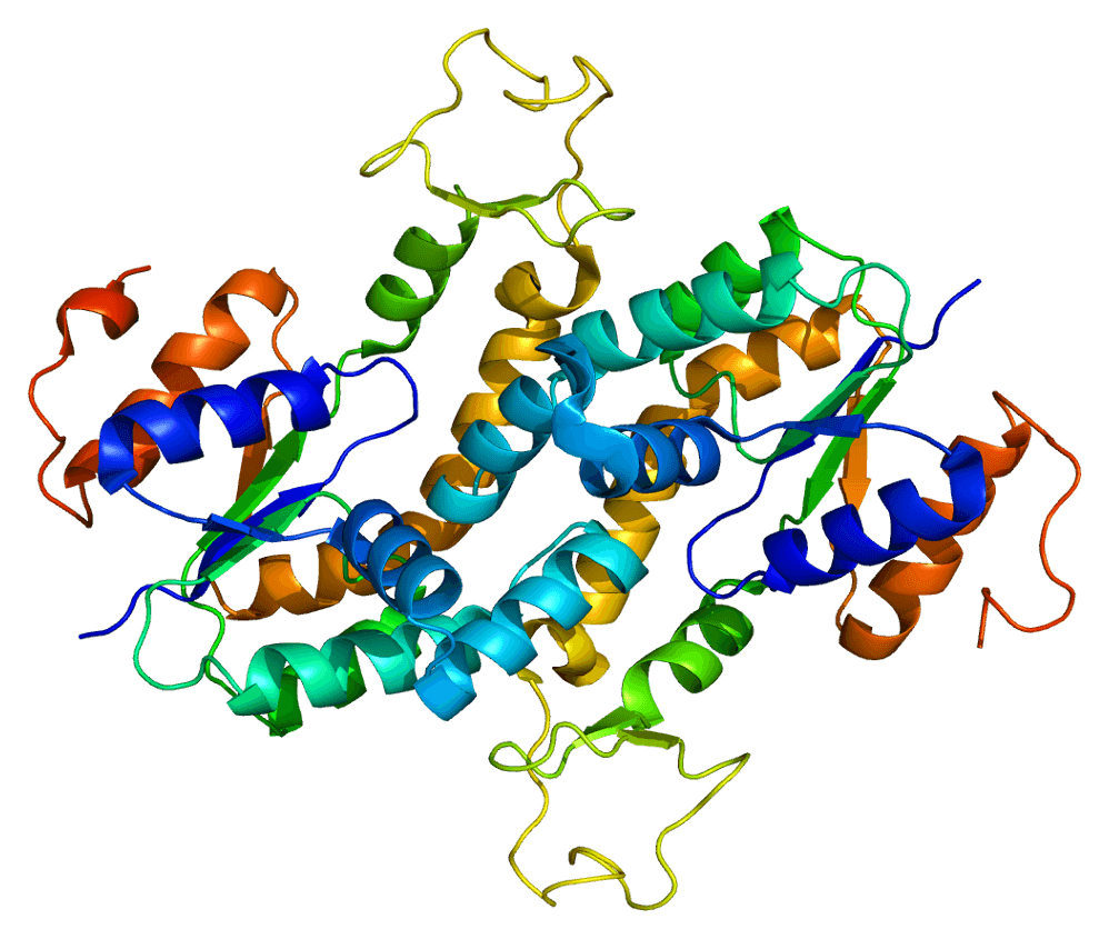 Structure of the AK3L1 protein. Based on PyMOL rendering of PDB 2ar7