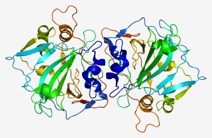 Predicting 3D protein structure of CAXII.