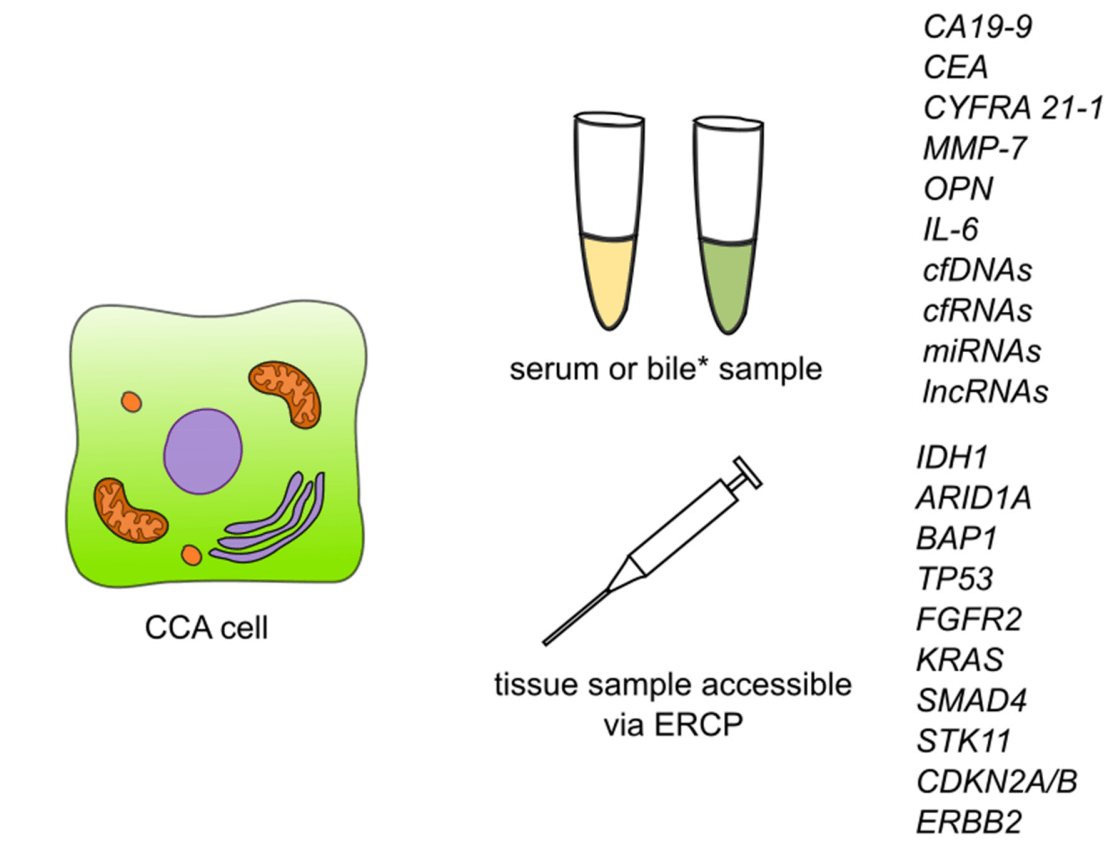 Summary of detection of biomarkers and some of the genetic markers for cholangiocarcinoma.