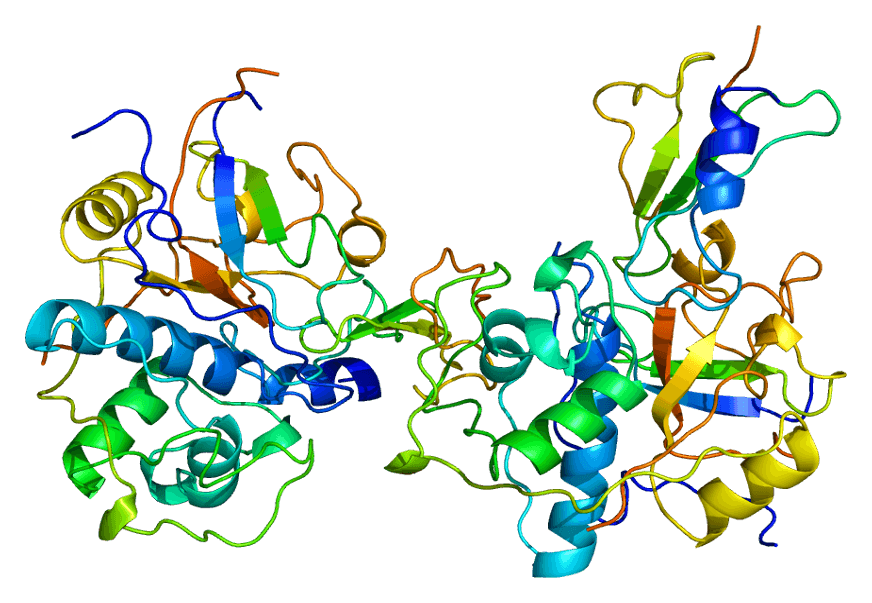 Predicting 3D structure of the CD74 protein.