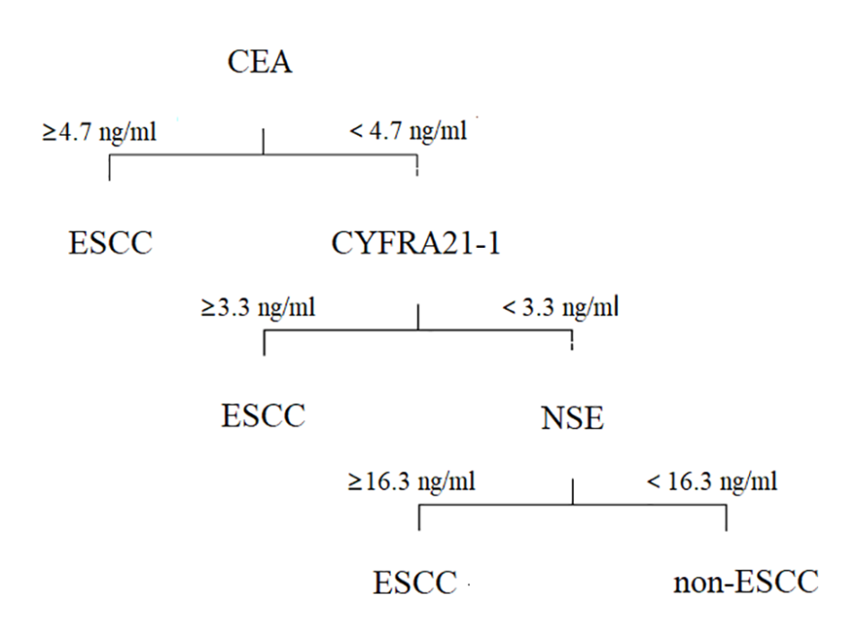 Scheme of a 3-step diagnostic workflow based on tumor markers for patients in ESCC.