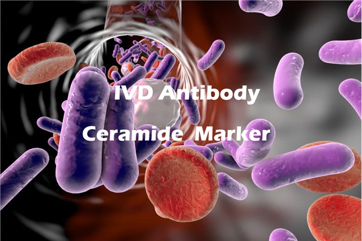 IVD Antibody Development Services for Ceramide Marker