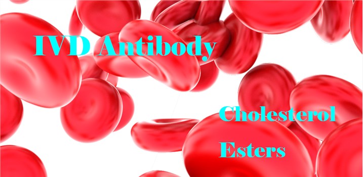 IVD Antibody Development Services for Cholesterol Esters Marker