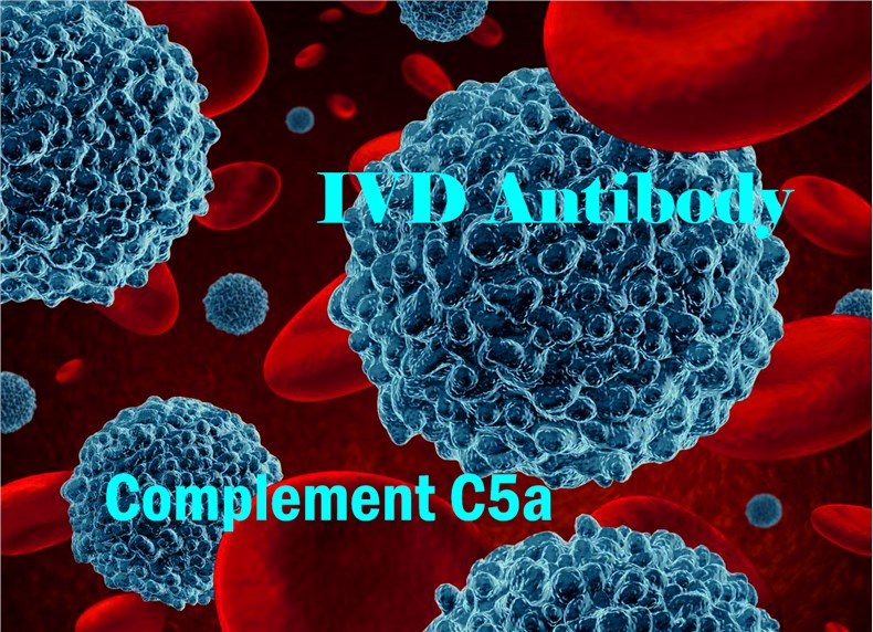 IVD Antibody Development Services for Complement C5a Marker