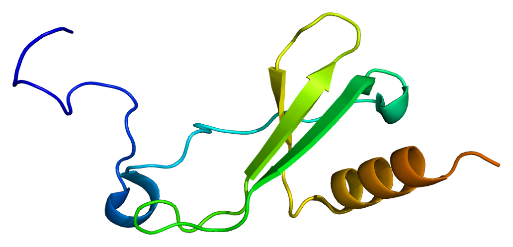 Structure of the CTAPIII protein.