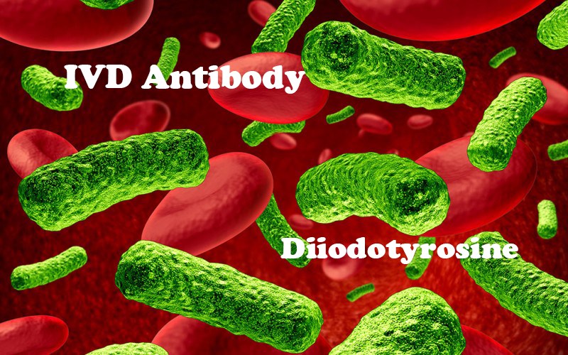 IVD Antibody Development Services for Diiodotyrosine Marker