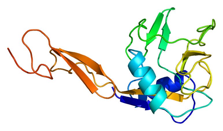 Structure of the SELE protein.