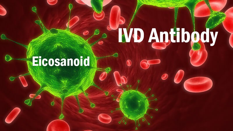 IVD Antibody Development Services for Eicosanoid Marker