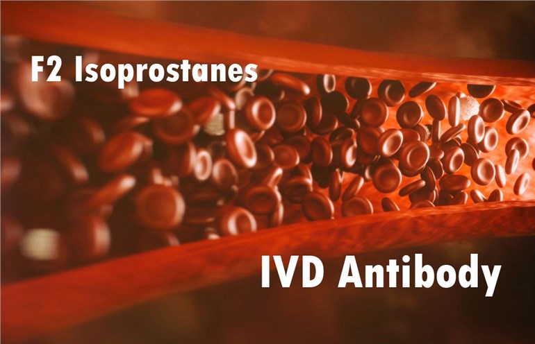 IVD Antibody Development Services for F2 Isoprostanes Marker