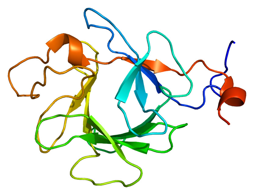 FFGF23 protein.