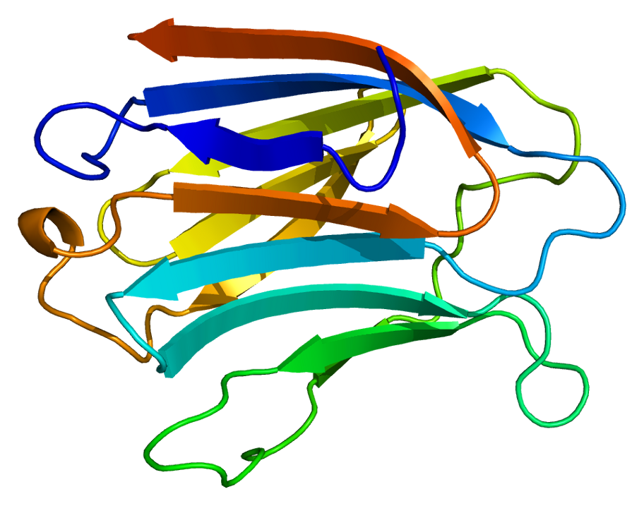 LGALS3 structure.