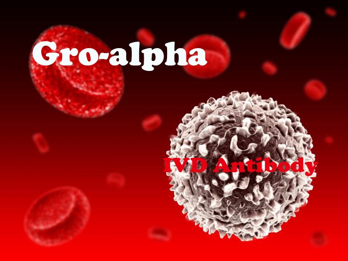 IVD Antibody Development Services for Gro-alpha Marker
