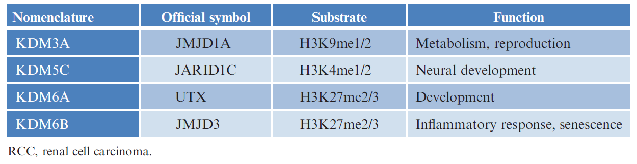 Lysine-specific histone methylation and the activity of histone demethylases. 