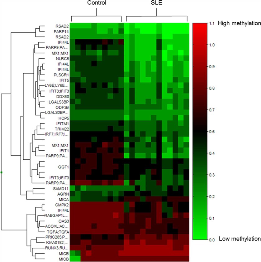 Heat map visualization of differentially methylated CpG sites.