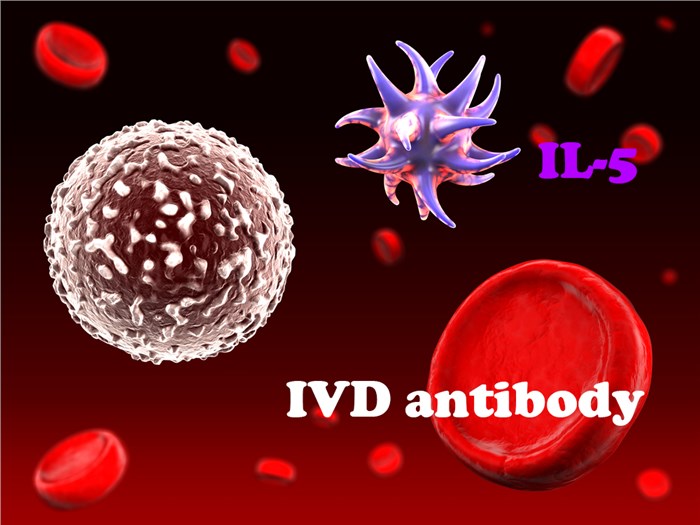 IVD Antibody Development Services for IL-5 Marker