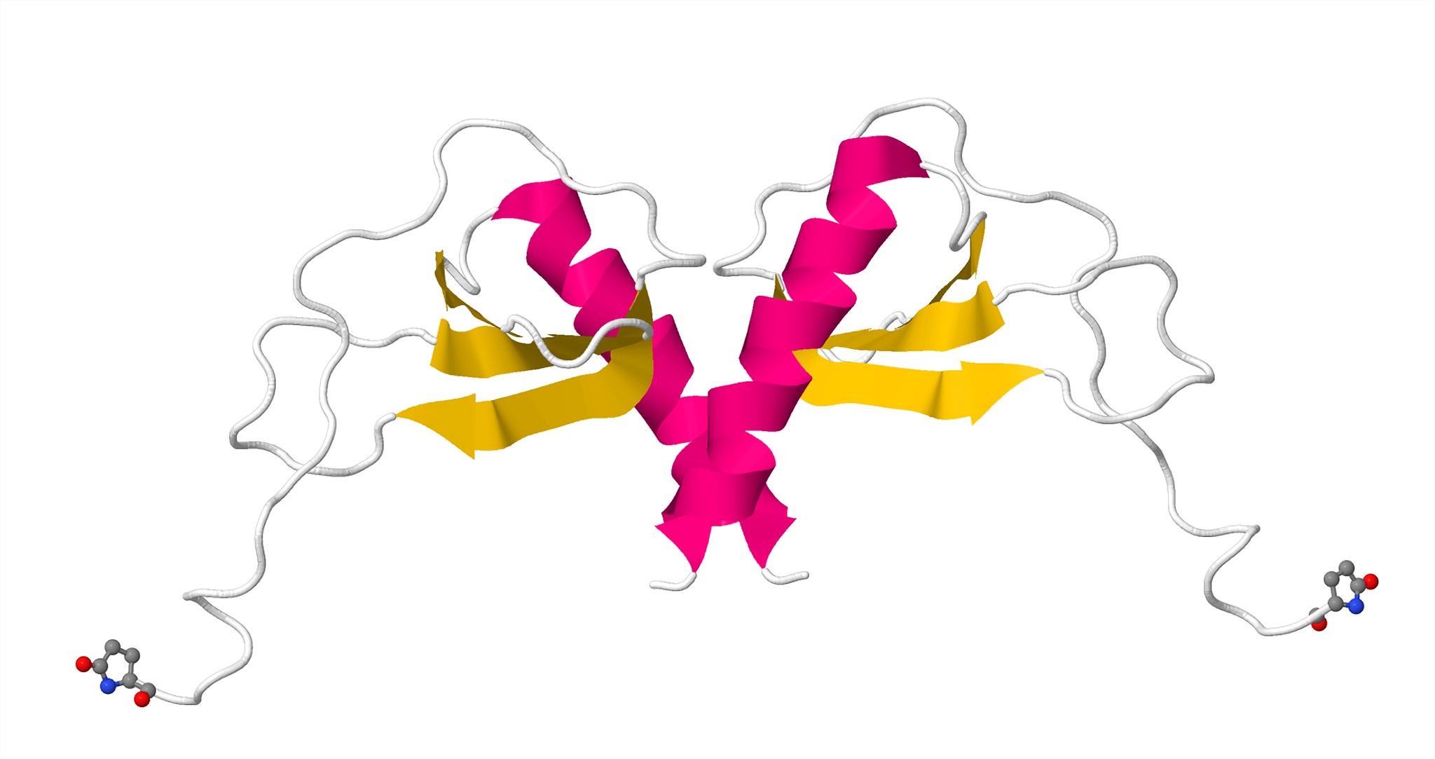 Fig.1 MCP-2 structure. (https://commons.wikimedia.org/wiki/File:1ESR.pdb1.png)