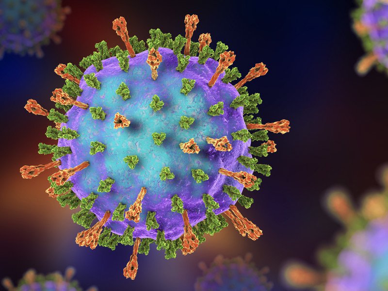 Mumps virus – Creative Biolabs