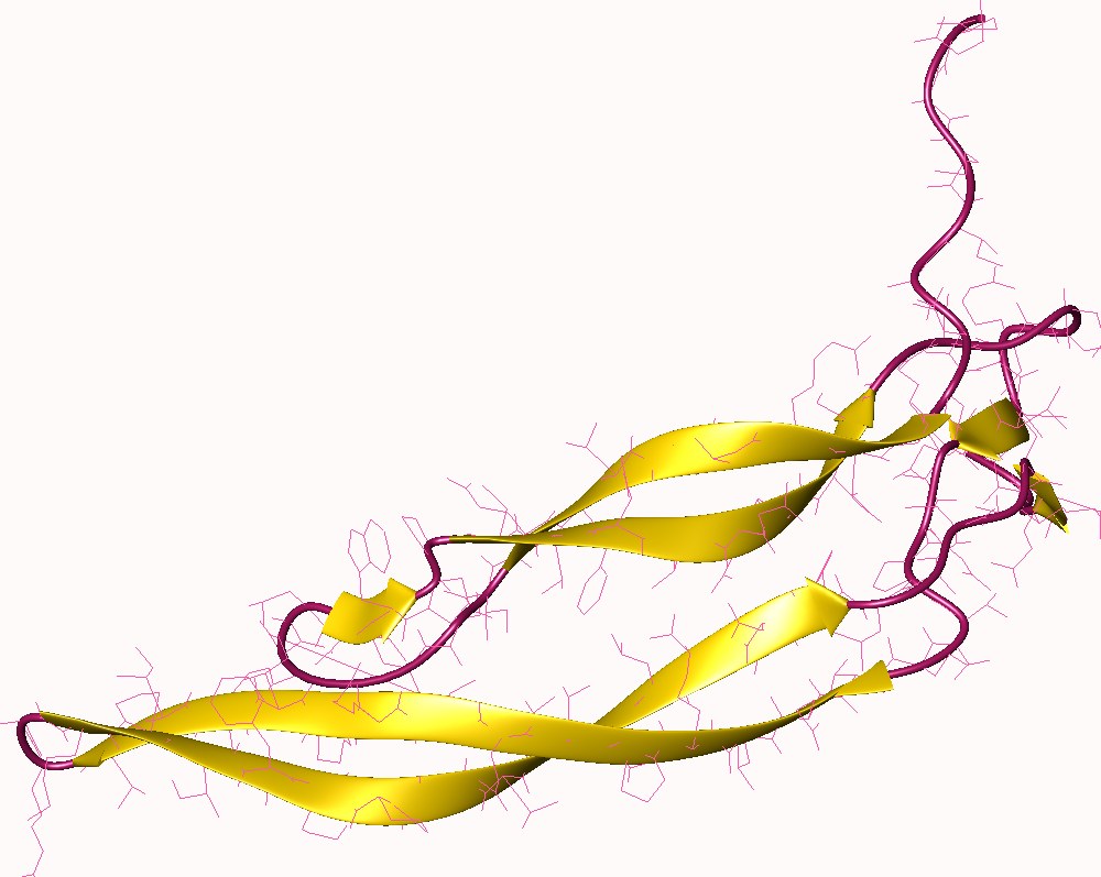 Structure of human platelet-derived growth factor BB monomer. (From Wikipedia: By Deposition authors: Oefner, C., Darcy, A.D., Winkler, F.K., Eggimann, B., Hosnag, M.; visualization author: User: Astrojan - http://www.rcsb.org/pdb/explore/explore.do?structureId=1pdg, https://commons.wikimedia.org/wiki/File:1pdg.jpg)