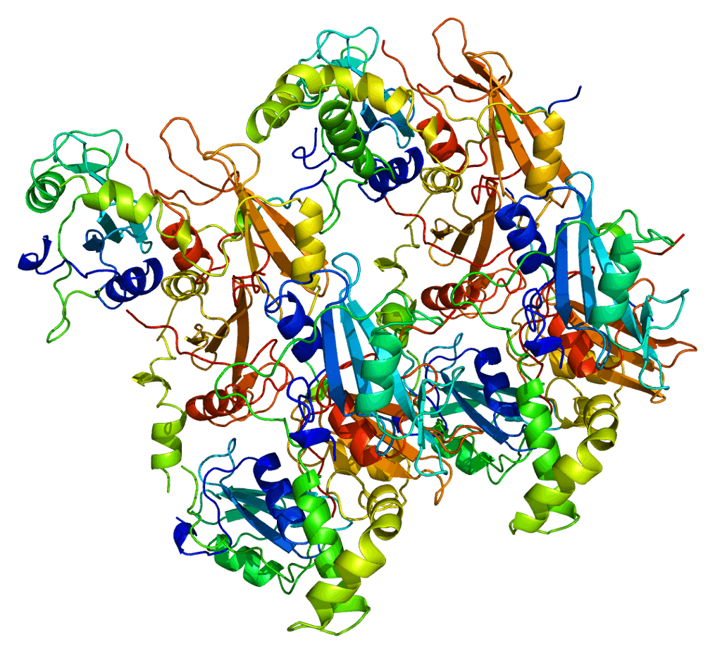 Predicting 3D structure of the SYK protein.
