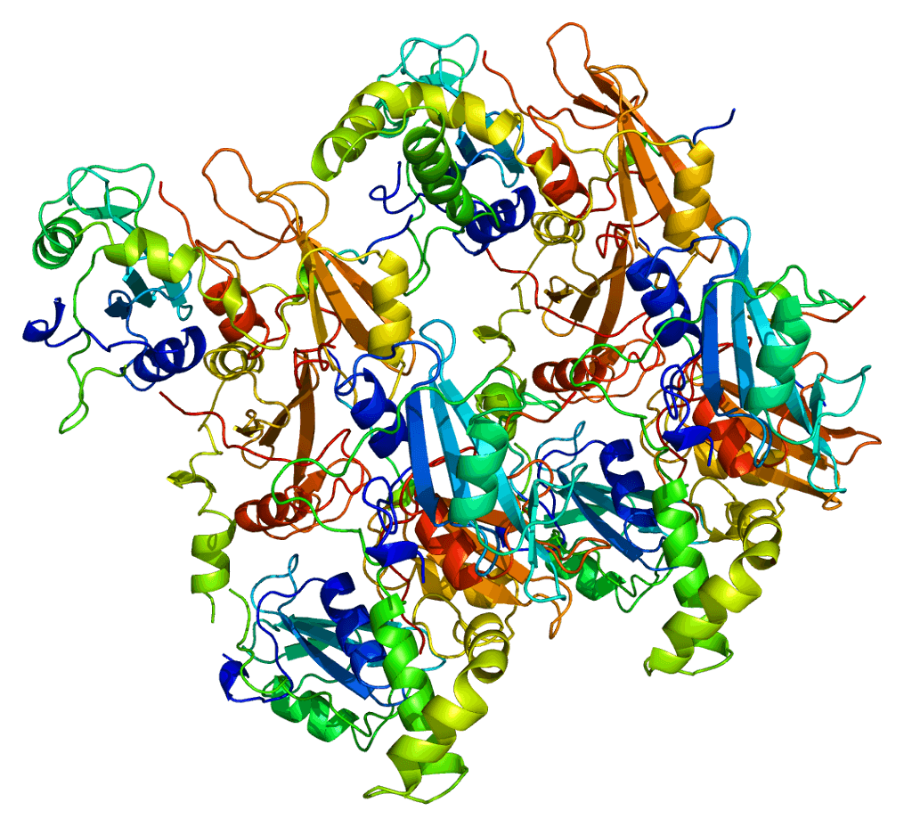 Structure of the SYK protein