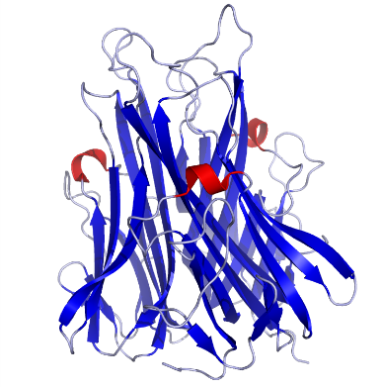 Crystal structure of TNF-α.
