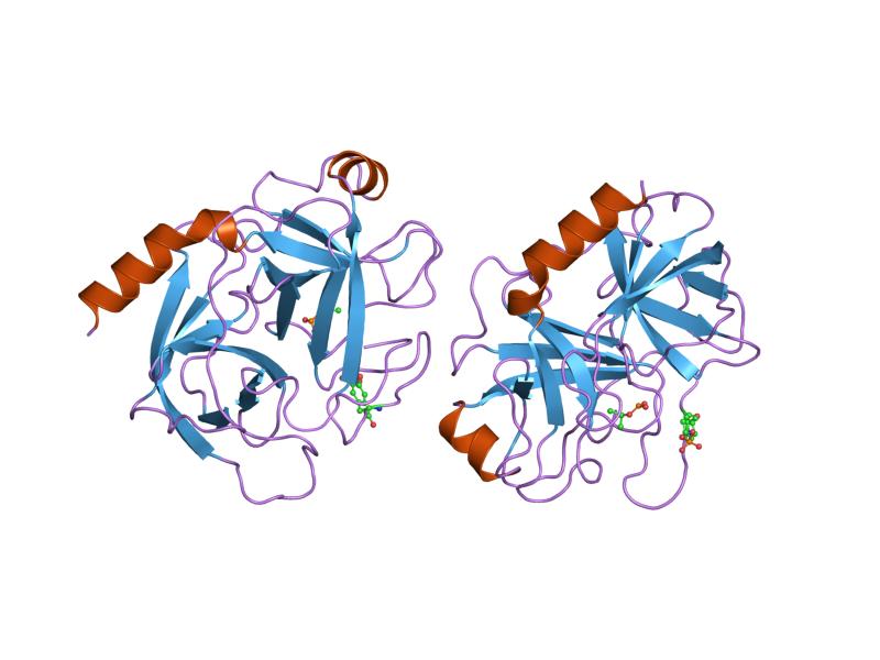 Fig.1 Trypsinogen-2. (From Wiki: By awahar Swaminathan and MSD staff at the European Bioinformatics Institute - http://www.ebi.ac.uk/pdbe-srv/view/images/entry/1trn600.png, displayed on http://www.ebi.ac.uk/pdbe-srv/view/entry/1trn/summary, https://commons.wikimedia.org/wiki/File:PDB_1trn_EBI.jpg)