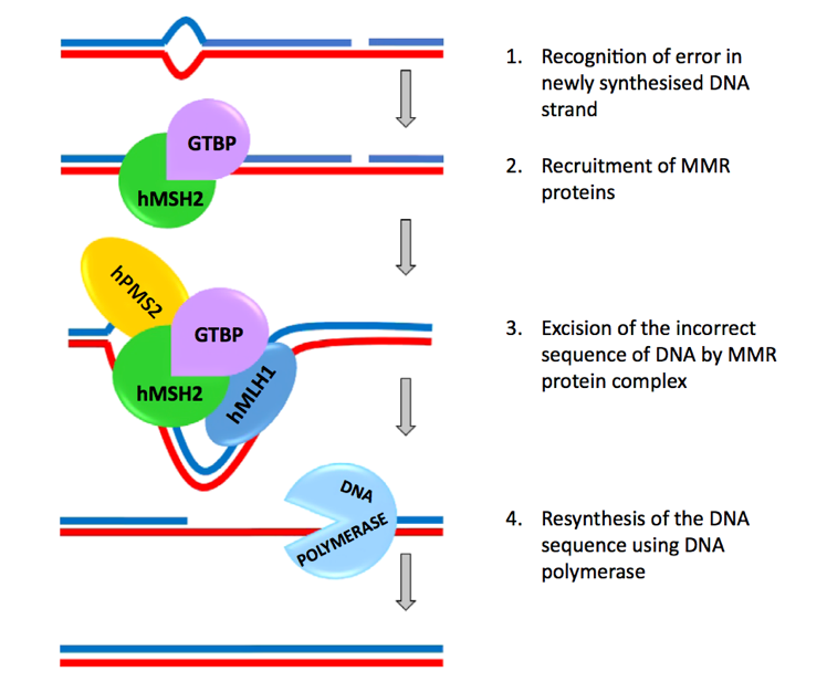 creative biolabs