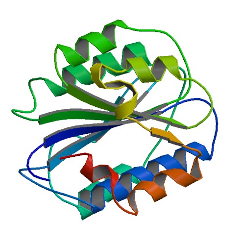 Diagram of von Willebrand factor structure. (From Wikipedia: By ProteinBoxBot at English Wikipedia, https://commons.wikimedia.org/wiki/File:PBB_Protein_VWF_image.jpg)