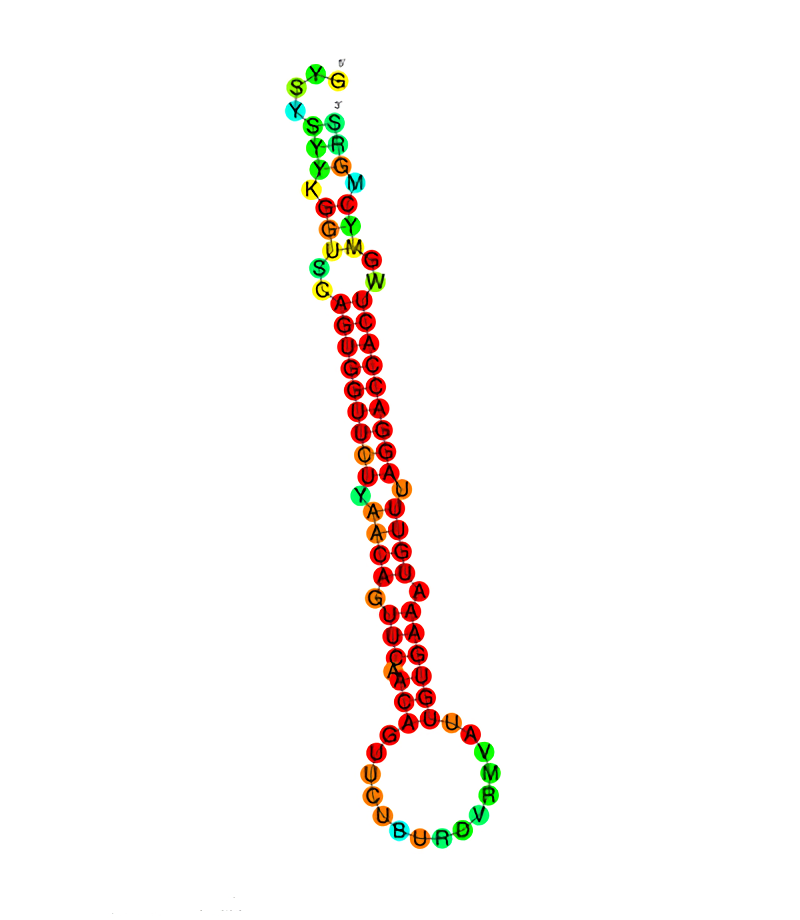 microRNA 483-5p