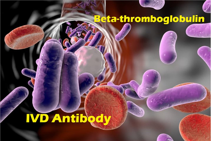 IVD Antibody Development Services for β-thromboglobulin Marker