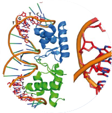 Integrated Approach for Multiplexed Protein and DNA Analysis