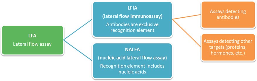 Classification of lateral flow assays.