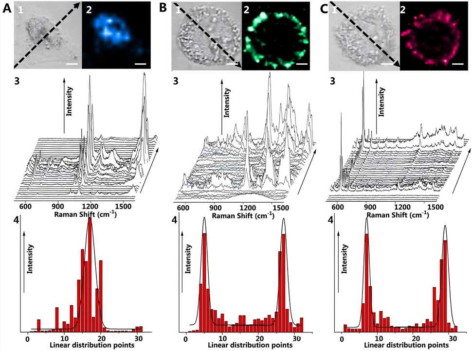 1.Chen, Yong, et al. 