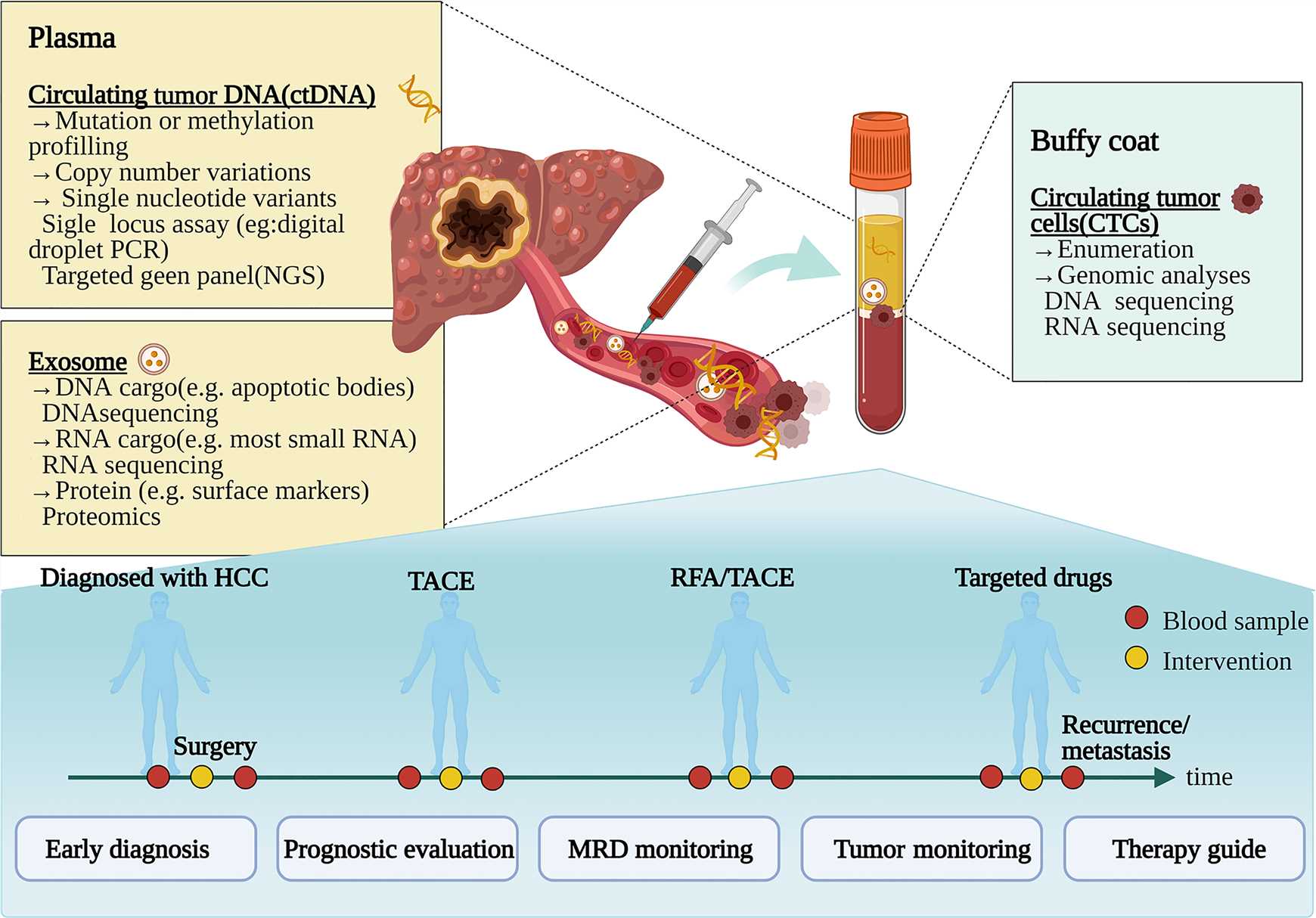 Clinical utility of liquid biopsy in hepatocellular carcinoma.