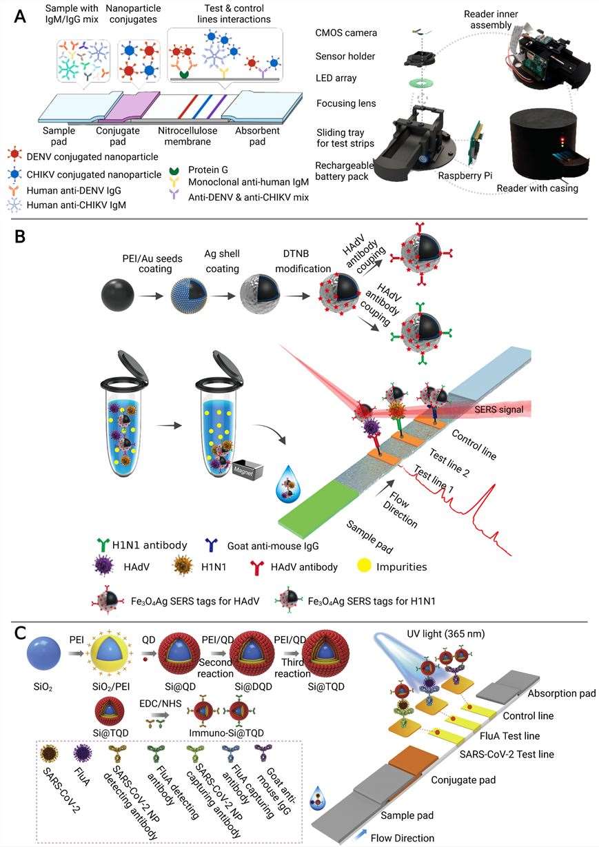 The multiplex detection of infectious diseases using microfluidic immunosensors.