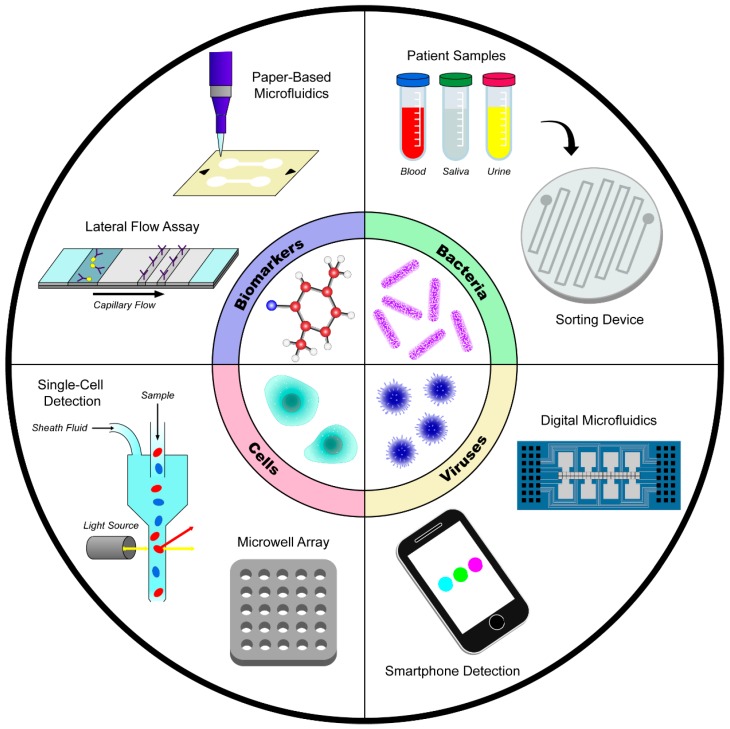 Microfluidic technology for biomarker, human cell, bacteria, and virus detection.