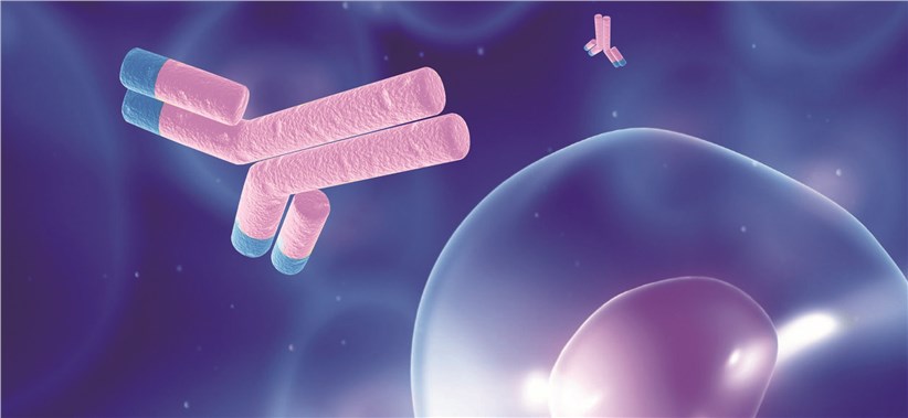 Monoclonal Antibody Development