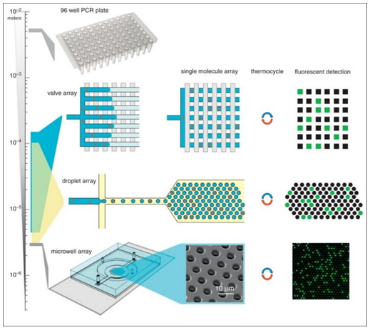 Microfluidic platform applications.