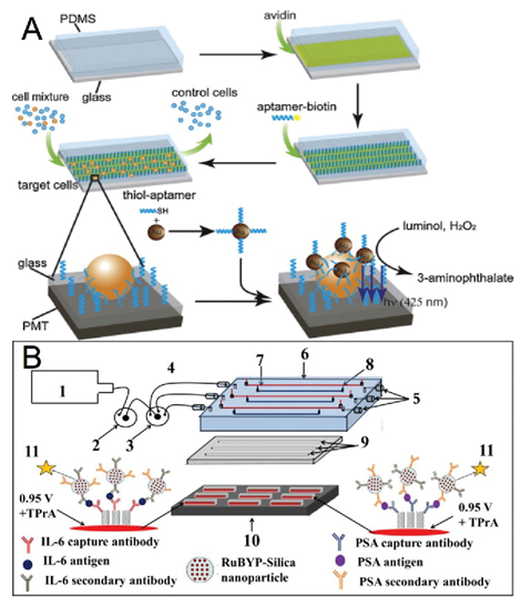 Biomarker detection on Microfluidic platforms with chemiluminescence and electrochemiluminescence detection.