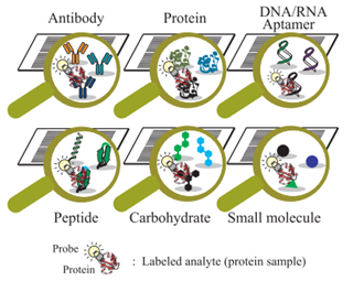 Representative capture agents of protein-detecting microarrays.