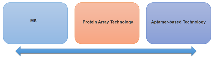 Protein detection services at Creative Biolabs. (Creative Biolabs Original)