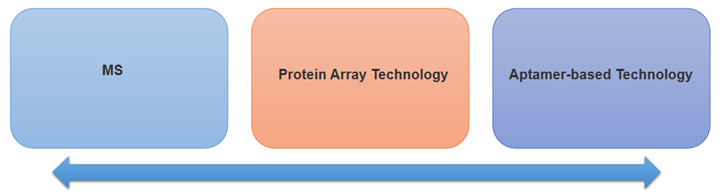 Protein Detection Services